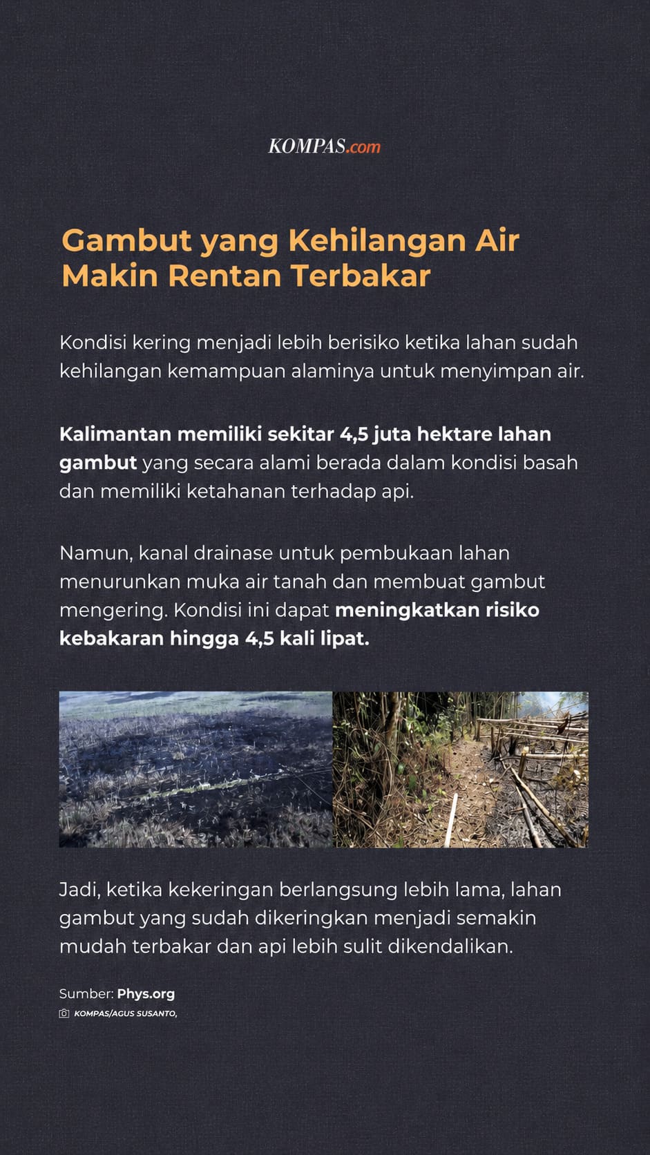 Slide 6