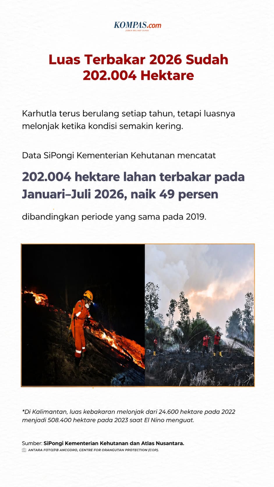 Slide 8